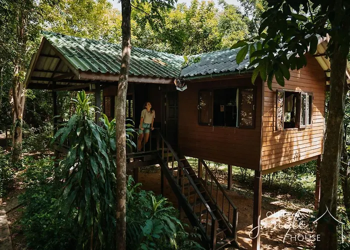Our Jungle House