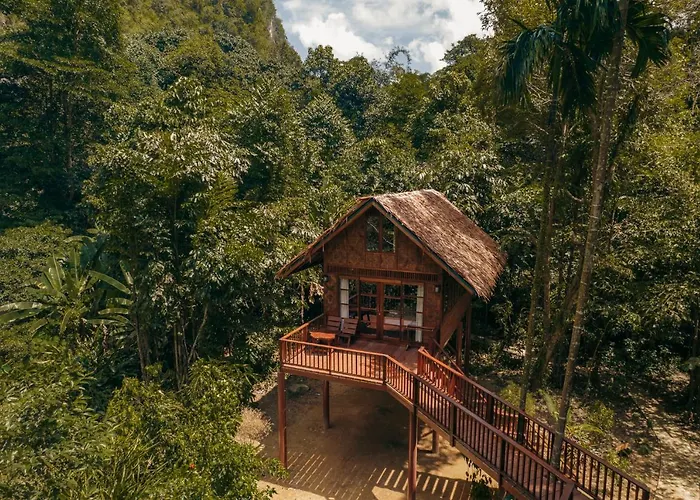 Our Jungle House